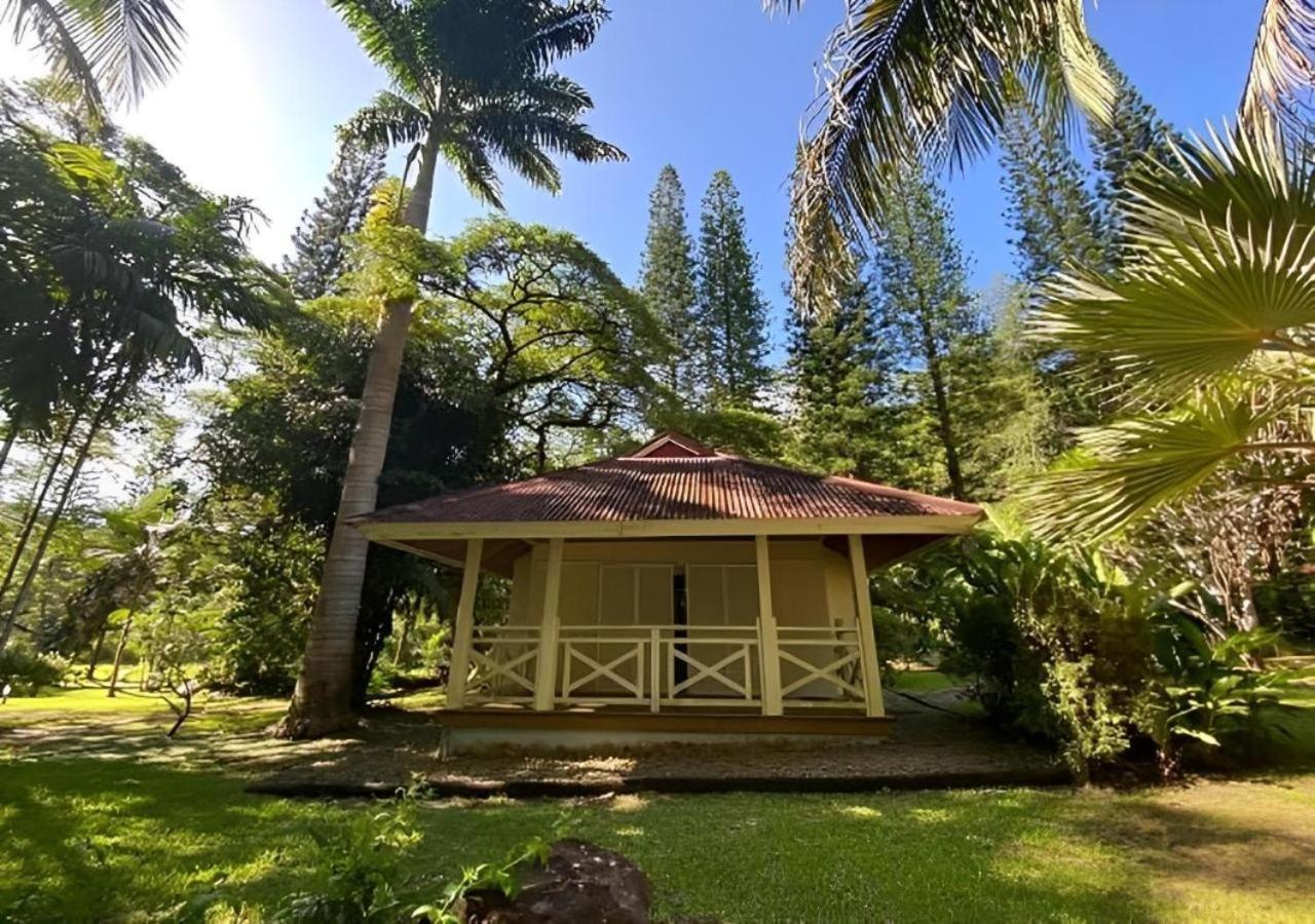 Evasion Bungalow D'Antan Spa Sarraméa Exteriör bild