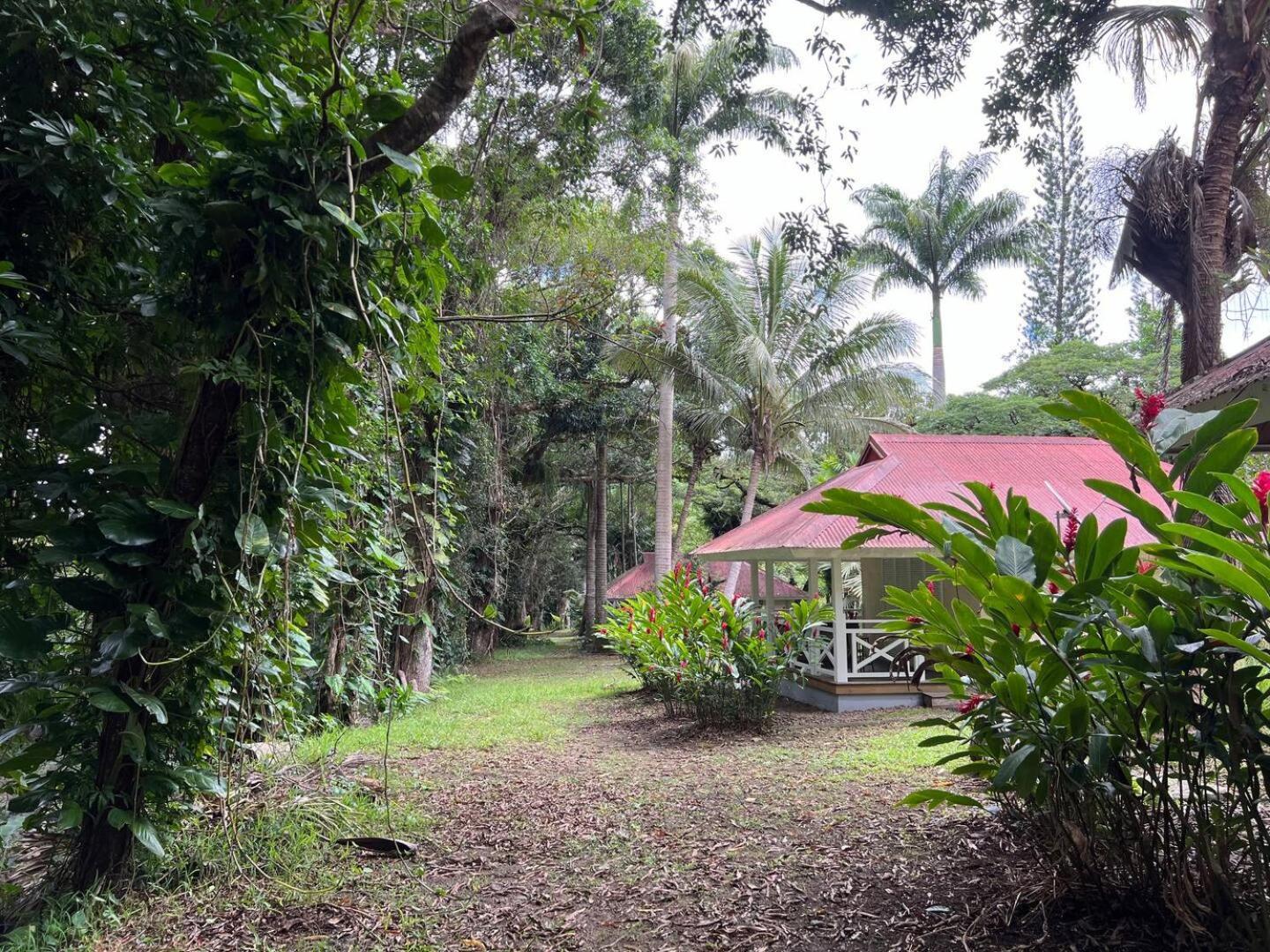 Evasion Bungalow D'Antan Spa Sarraméa Exteriör bild